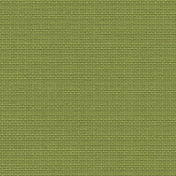 Nude Beach - Performance Outdoor Fabric - yard / Apple - Revolution Upholstery Fabric