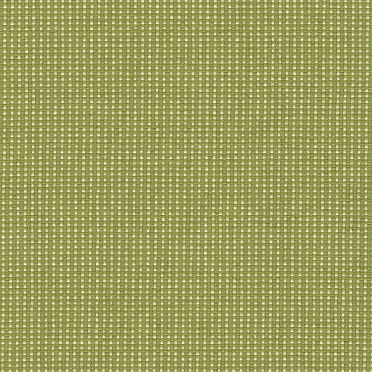 Bamboo Bay Outdoor Fabric - Swatch / Pear - Revolution Upholstery Fabric