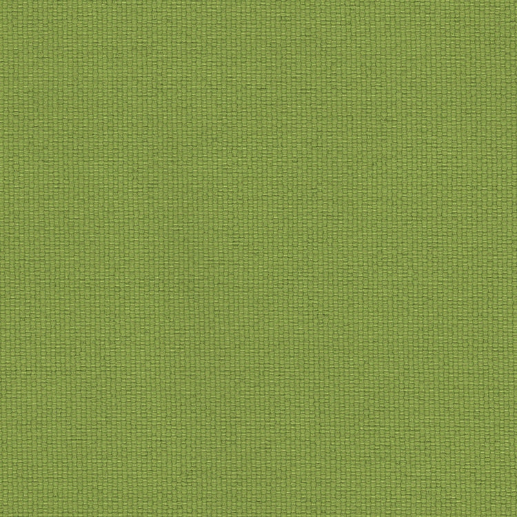 Brightside - Outdoor Upholstery Fabric - yard / Apple - Revolution Upholstery Fabric