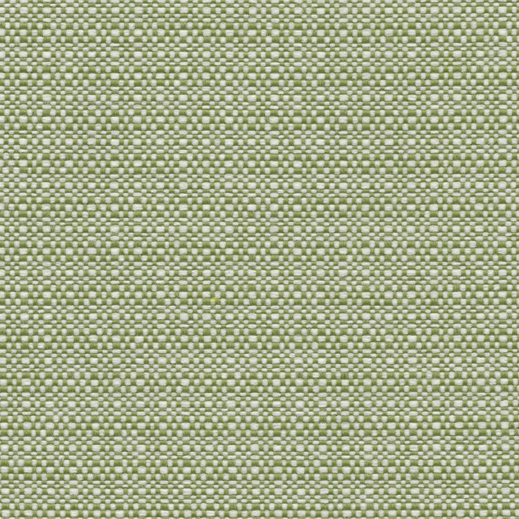 Nude Beach - Performance Outdoor Fabric - yard / Grass - Revolution Upholstery Fabric