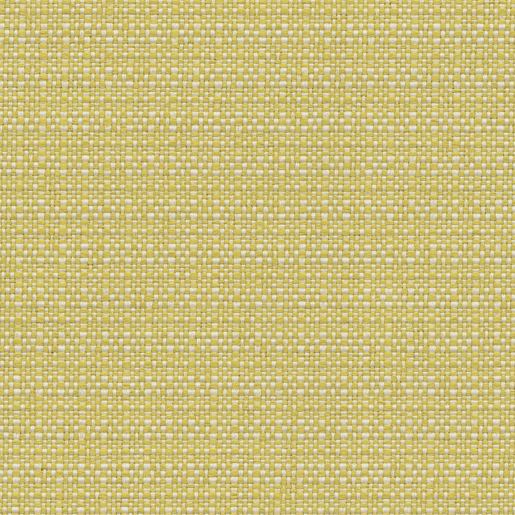 Nude Beach - Performance Outdoor Fabric - yard / Sunny - Revolution Upholstery Fabric