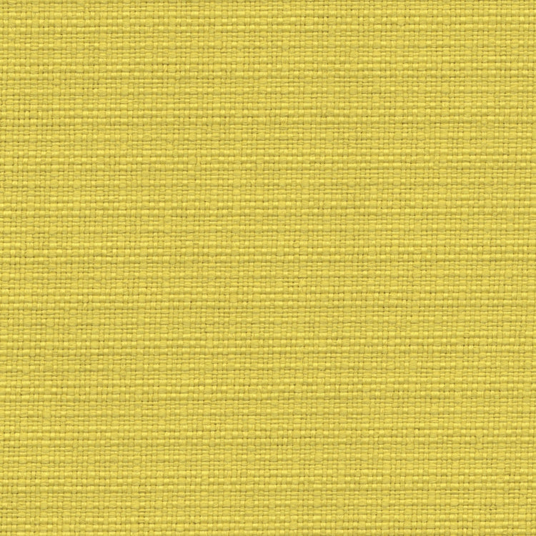 Nude Beach - Performance Outdoor Fabric - yard / Yellow - Revolution Upholstery Fabric