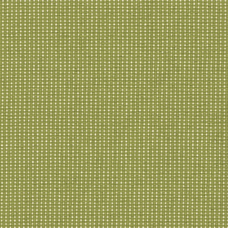 Bamboo Bay Outdoor Fabric - Swatch / Pear - Revolution Upholstery Fabric