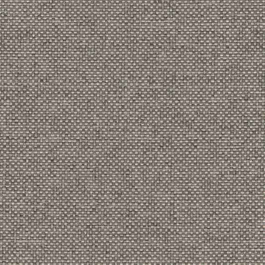 Rumba - Performance Outdoor Fabric - Swatch / rumba-platinum - Revolution Upholstery Fabric